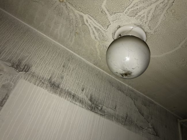 Ceiling Fire Damage